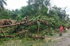 Bão Bualoi (số 10) quét qua Philippines, gây thiệt hại nặng nề
