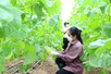 Khả thi mục tiêu 65 tỷ USD xuất khẩu nông, lâm, thủy sản