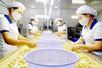 Chính sách thuế GTGT đối với sản phẩm sơ chế