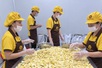Xuất khẩu rau quả tăng tốc, siết chuẩn để giữ thị trường