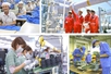 Công khai toàn bộ kết quả xử lý kiến nghị của doanh nghiệp trên Cổng TTĐT Chính phủ
