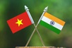 Đưa hợp tác thương mại, đầu tư Việt Nam - Ấn Độ sang giai đoạn mới