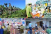 Chỉ đạo, điều hành của Chính phủ, Thủ tướng Chính phủ ngày 10/7/2026