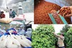 Xuất khẩu nông lâm thủy sản từ 70 đến 100 tỷ USD: Cần những bước đột phá mới