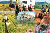 Chỉ đạo, điều hành của Chính phủ, Thủ tướng Chính phủ ngày 15/7/2026 (1)