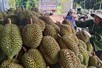 Sầu riêng tươi chinh phục thị trường Ấn Độ