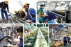 Triển khai thực hiện Kết luận số 62-KL/TW về nâng cao năng suất lao động quốc gia gắn với phát triển thị trường lao động