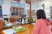 Bị ốm trùng ngày nghỉ phép năm, có được chế độ ốm đau?