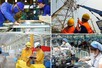 Trước 31/8/2026, hoàn thành kế hoạch cơ cấu lại vốn nhà nước tại doanh nghiệp giai đoạn 2026-2030