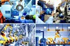 Chỉ đạo, điều hành của Chính phủ, Thủ tướng Chính phủ ngày 6/8/2026