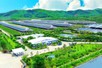 Vinamilk: "Đạt chuẩn" chưa phải là điểm dừng