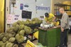 Giữ chất lượng, giữ thị trường sầu riêng