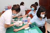 Không để người dân khám, xét nghiệm lại để phục vụ cập nhật dữ liệu Sổ sức khỏe điện tử
