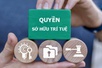 Thực thi quyền sở hữu trí tuệ: Tăng xử lý hình sự, siết vi phạm trên môi trường số