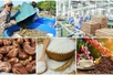 Farm product exports gross US$20.26 billion in five months