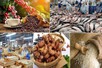 Agro-forestry-fisheries sector enjoys trade surplus of over US$8 bln
