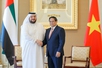 Viet Nam seeks UAE's assistance in building financial centers