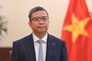 Viet Nam is proactive in taking on global responsibilities: Deputy FM