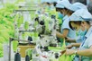 ADB upgrades Viet Nam’s growth forecasts