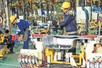 PMI exceeds 50 points as new orders rebound
