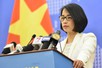 Viet Nam participates in multilateral mechanisms in line with its foreign policy, conditions