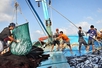 Viet Nam launches month-long campaign against IUU fishing