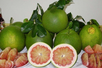 Viet Nam’s pomelos official available in Australia