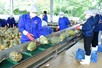 Fruit, vegetable exports likely to hit US$8.5 billion in 2025