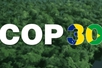 Viet Nam makes three proposals at COP30