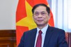 Viet Nam, Hungary, Romania mark 75th anniversary of diplomatic ties