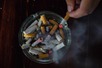 Viet Nam should seize historic opportunity to curb tobacco harm and to support economic growth, says WHO