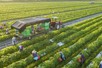 Australia to provide AUD 2 million to help Viet Nam respond to climate change