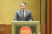 Gov’t proposes to relax conditions for acquiring Vietnamese nationality