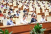 Historic milestone in Viet Nam's local governance