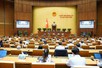 Gov’t extends VAT cut by next year's end