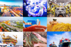 Viet Nam makes remarkable economic progress over past decades: OECD report
