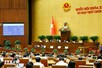 Viet Nam sets up National Election Council