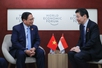  Vietnamese, Singaporean Prime Ministers meet in Tianjin