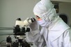 Legislative body approves Law on Science, Technology and Innovation