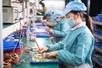 Over 15.000 new firms make debut in May