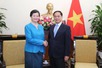 Cambodia and Thailand are close friends of Viet Nam: Deputy PM, FM Bui Thanh Son