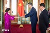 President of Paraguay expects to pay official visit to Viet Nam this year
