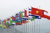 State President Luong Cuong highlights achievements of Viet Nam's 80-year diplomacy