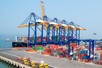 Trade turnover jumps 16.2% from January to mid-July