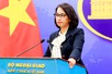 Viet Nam ready to take citizen protection measures in Nepal, Qatar: Spokeswoman
