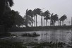 Residents encouraged to stay indoors as typhoon Bualoi nears central coast