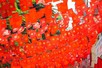 Viet Nam announces 2027 public holiday schedule