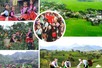 Central Steering Committee on national target program for on social, cultural, rural development in ethnic minority and mountainous areas 2026–2035 founded