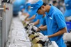 From 2027, Vietnamese guest workers to be managed through identification codes