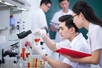 Gov’t rolls out action plan to attract and develop talent in key sectors